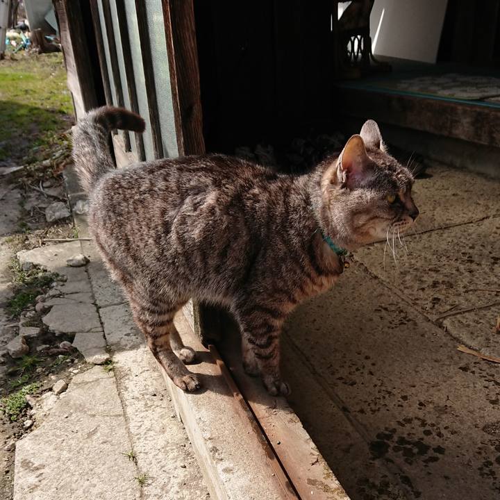 062f0db0 3e57 4150 95ed ad3b14ceb551 1552711555968