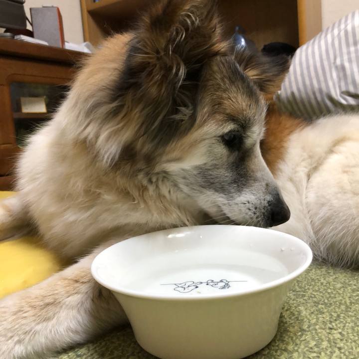 062f3a79 032b 42dc 80f1 cea721c63457 1549117997372