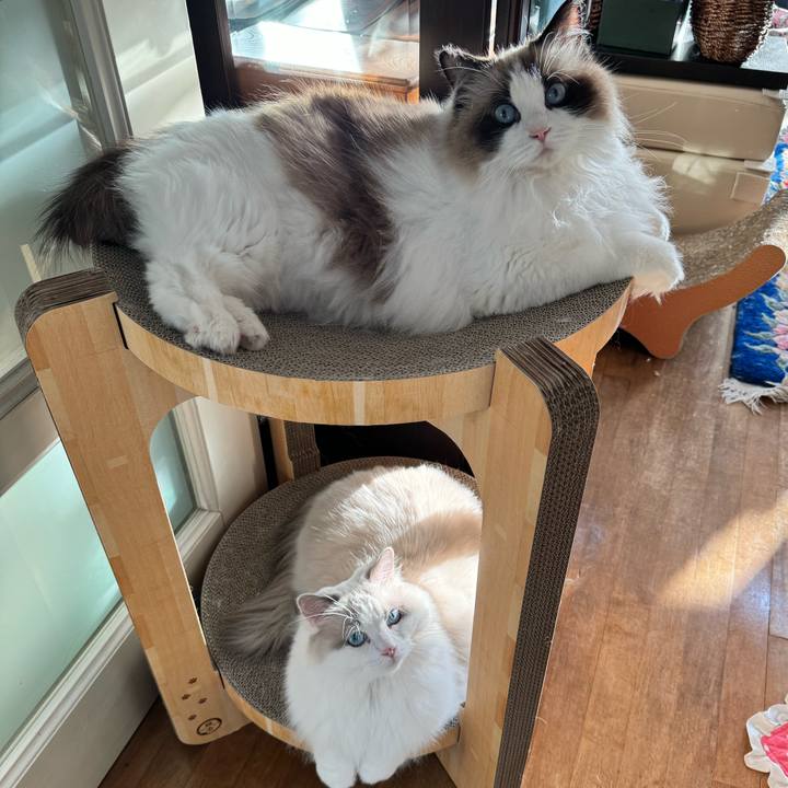 062fa6ac 37af 4f32 b586 99430a841fcb 1739323389456