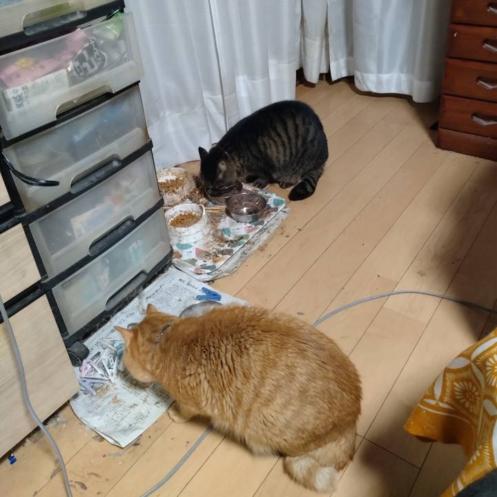 062fb526 8591 4ad0 a159 5d861a44968a 1704526820704