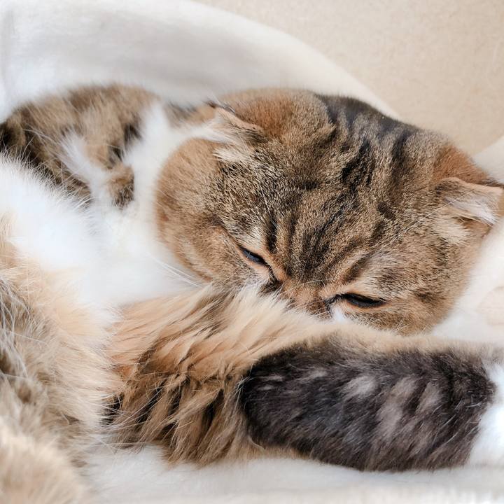 063003ad eda3 46e7 a78c 558ca4e45422 1588214687522