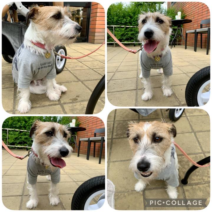 063014ec 3e2b 49b3 a143 b4e90824597a 1622721465263