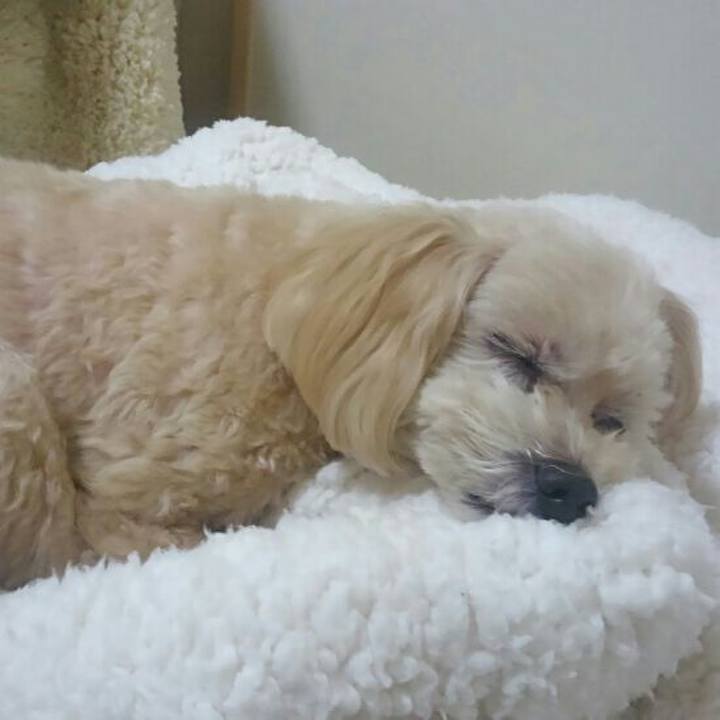 06302259 fd25 4933 a0ba 5a86a9b80bd6 1556965800673