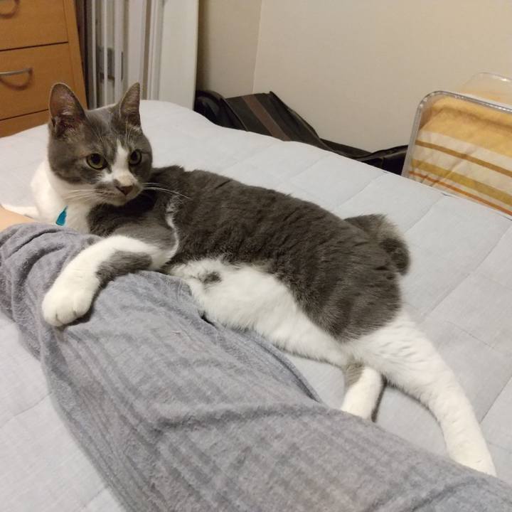 06308cc5 e7a0 4b4a 8620 8b0fddd4c865 1626273608831