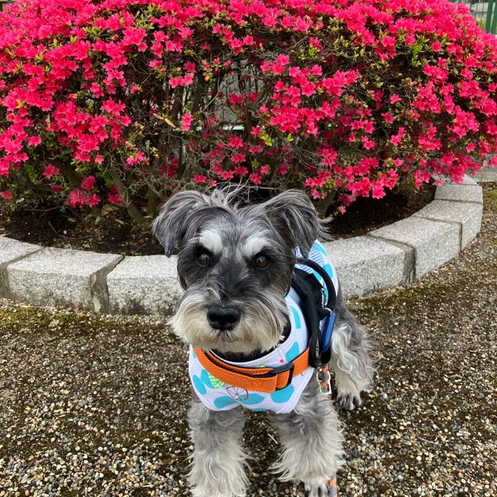 0630a716 c6cf 46af 9a93 a44825aaaccd 1746446217987