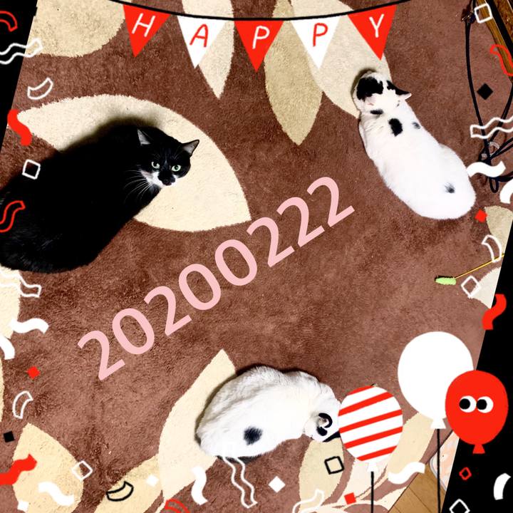 0630b911 6572 4cc4 9002 44cf97e0047b 1582328749683