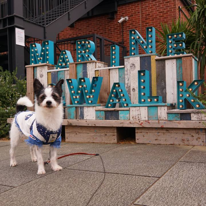 0630e13e 5a42 4d5f 9a3e 11094db9f388 1605261200638