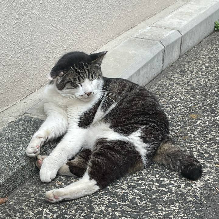 0630ed5a bf53 4b9e 939a 201a1f54a2ad 1624440629905