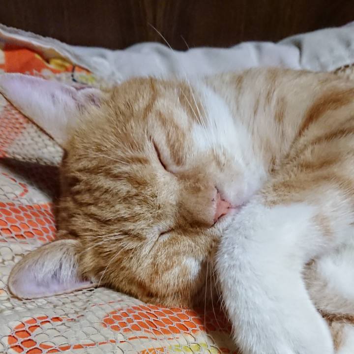 06313d62 9b0e 4b36 8999 bb5da4b8cfbc 1569330080941