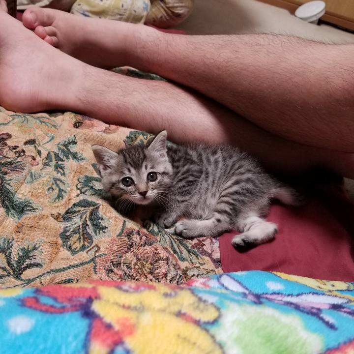 06319268 107b 4180 ba84 fb6cf5d22b51 1661157318920