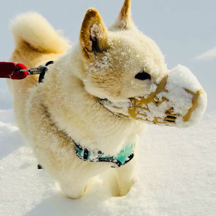 0631afe0 a41d 43ce a888 a0bb68d41a07 1763174048441