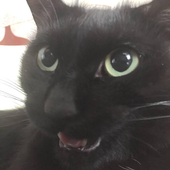 0631bd07 9215 4513 b1d2 7788f165066a 1510963004535