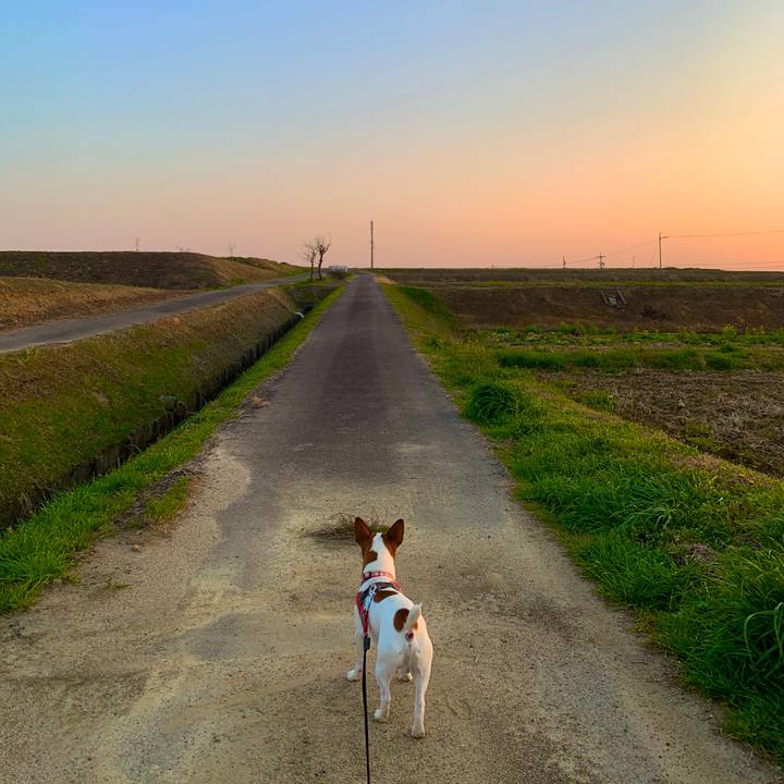 0631c058 9a8a 46c9 88a4 87fd8af7f3cd 1584450789967