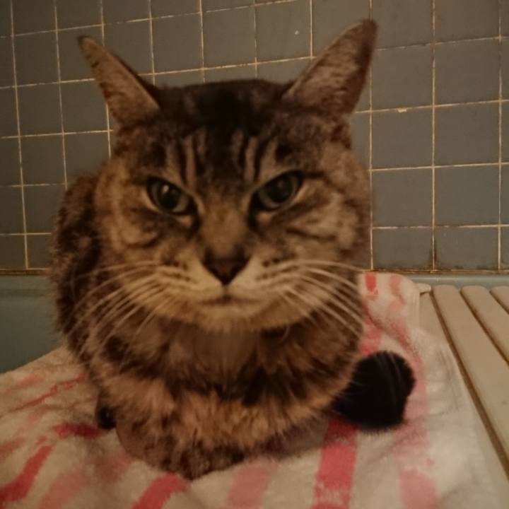 06320d4d 4769 4a45 8ab5 2fb53a735c5c 1579338953012