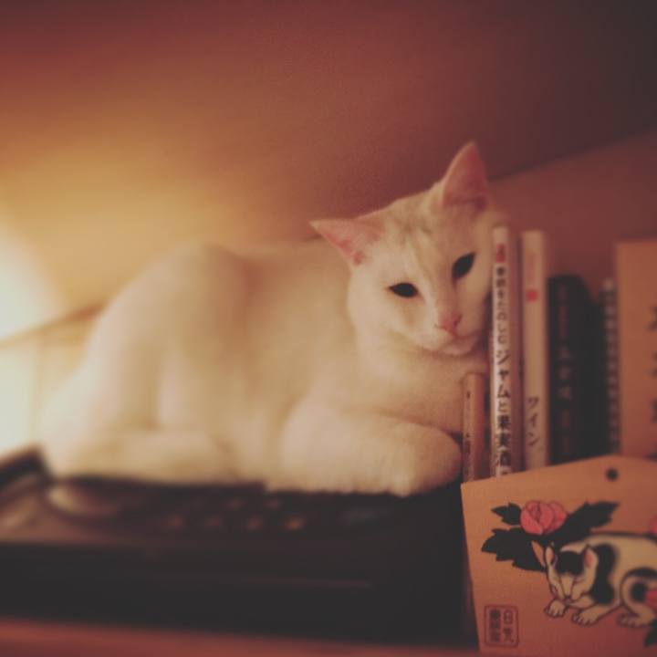 06321546 1ce8 499c b707 5038d5be072b 1521121413678