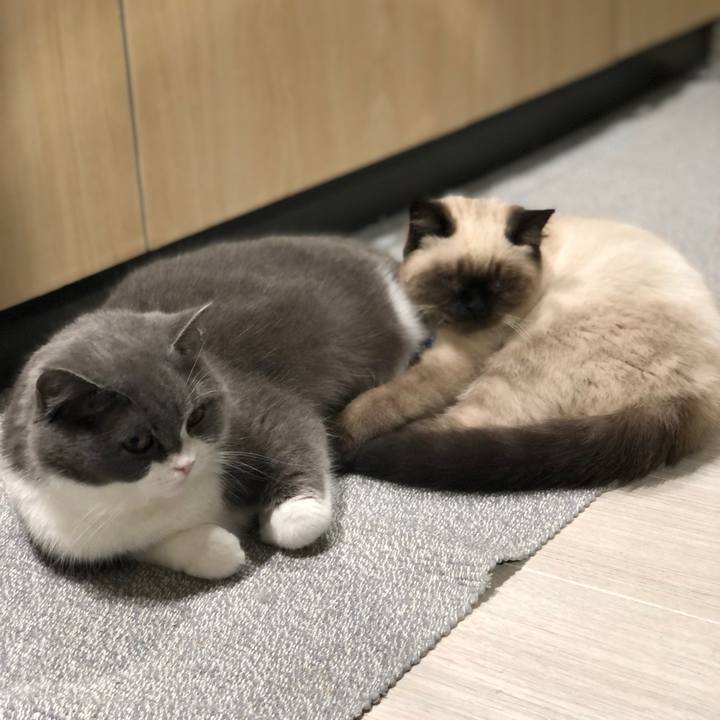 06322949 32ac 49c0 b6a6 b8d89a93c432 1590880742814