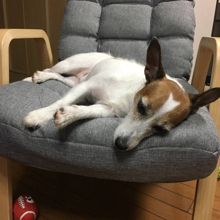 063237dc ff17 4ed5 bee9 8f483ae9e78f 1569881320019