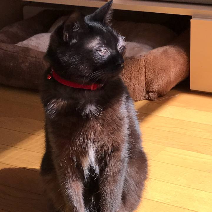 06328100 253c 4dfe 9b55 c1a06b35bd84 1521264392530