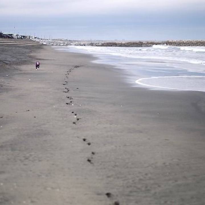 06328712 aba5 468a aee2 8ce2389dcd14 1518189074163