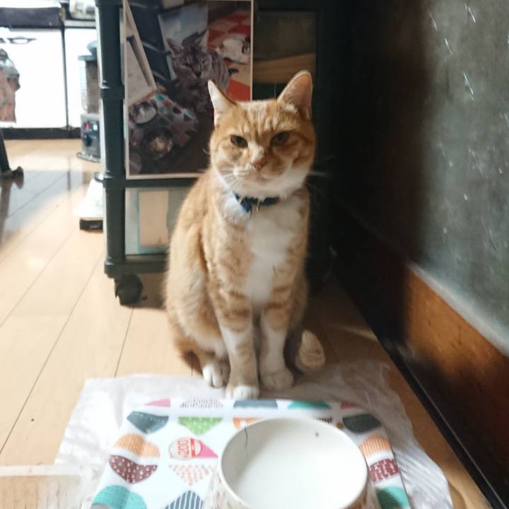 06328d4e ed6f 4af1 8339 767c5f6ca4f2 1605556083805