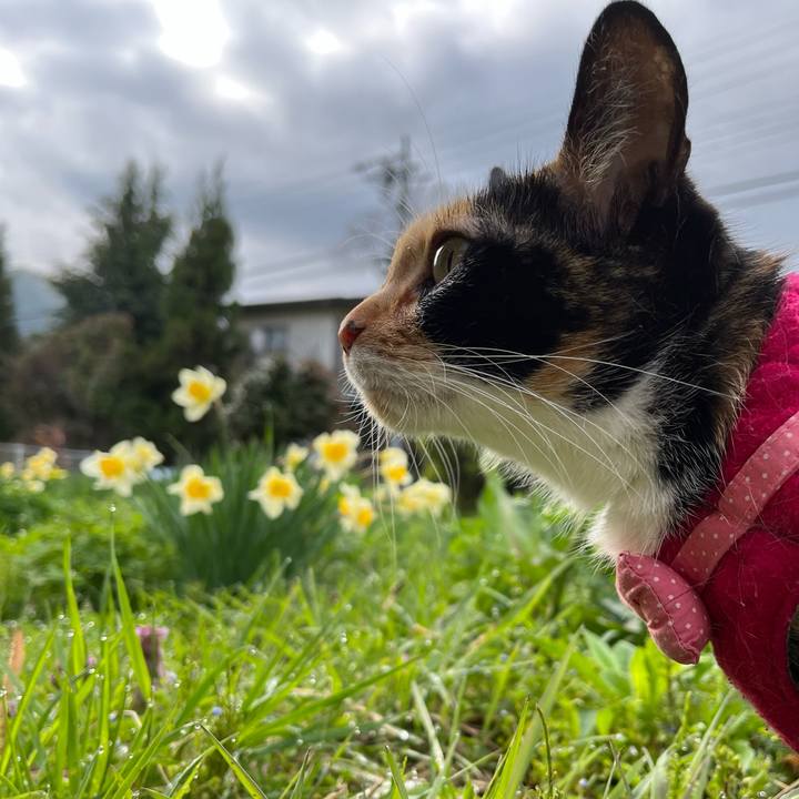 0632bc21 f726 4f6f b7e4 c6480bb93d0e 1650580331687