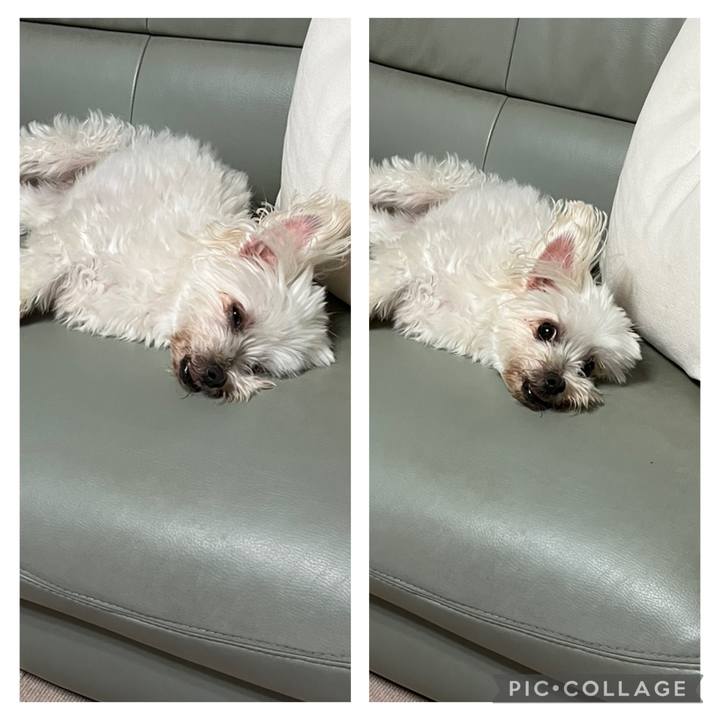 0632deb2 70d5 4d10 8e20 ca3a8baf965f 1751456840068