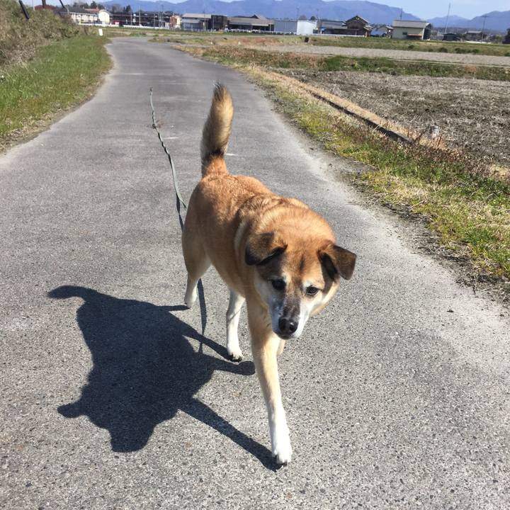 06331aeb 8e2b 45f9 8454 548c3cb01e44 1583752910583