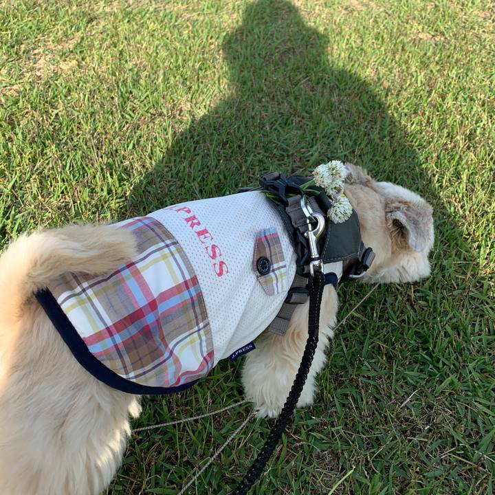 063338e2 4ca0 42ed ba1b 02ba5c54e307 1589460813525