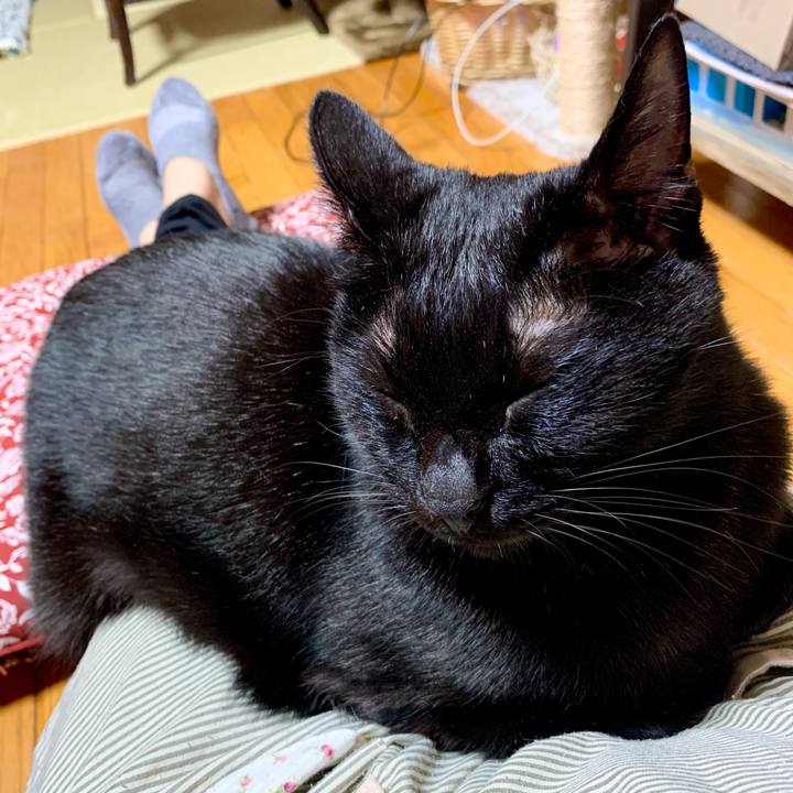 063352bf fe9b 4062 82c5 361dbe7b8bd0 1602942081308