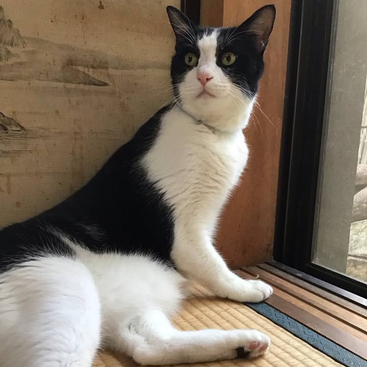 06337785 cccf 4588 84a0 a51b6b524dd6 1752062848945