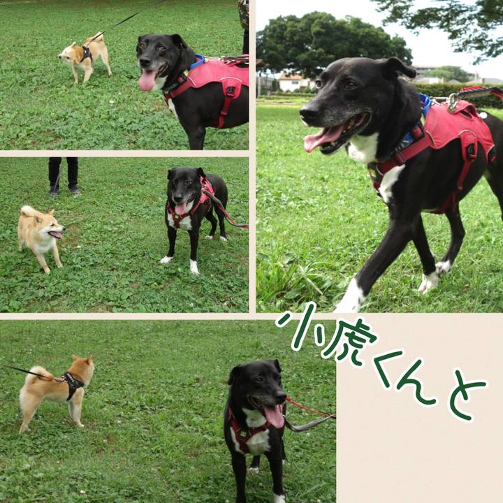 063399ba 8623 414c b8c0 3055c69ed743 1688171825959