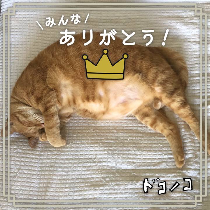 0633b103 1b45 47ed 8acb 95347ed3d301 1622973872651