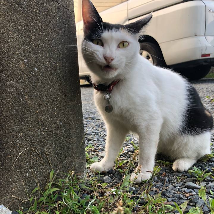 0633b861 fa78 493d bb55 04d40841125a 1628084663514