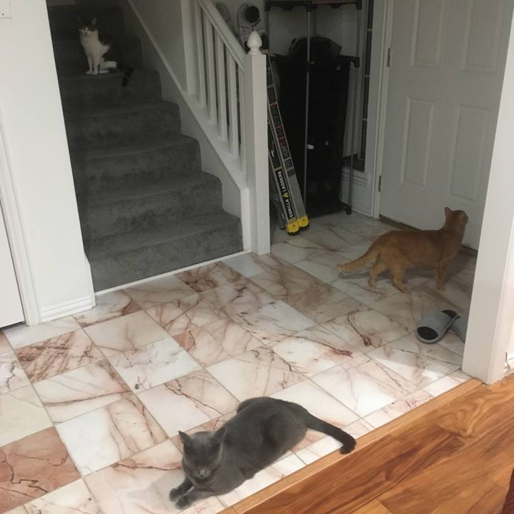 06340bb9 9409 4bb2 9682 c385fe8ad76c 1656458264506