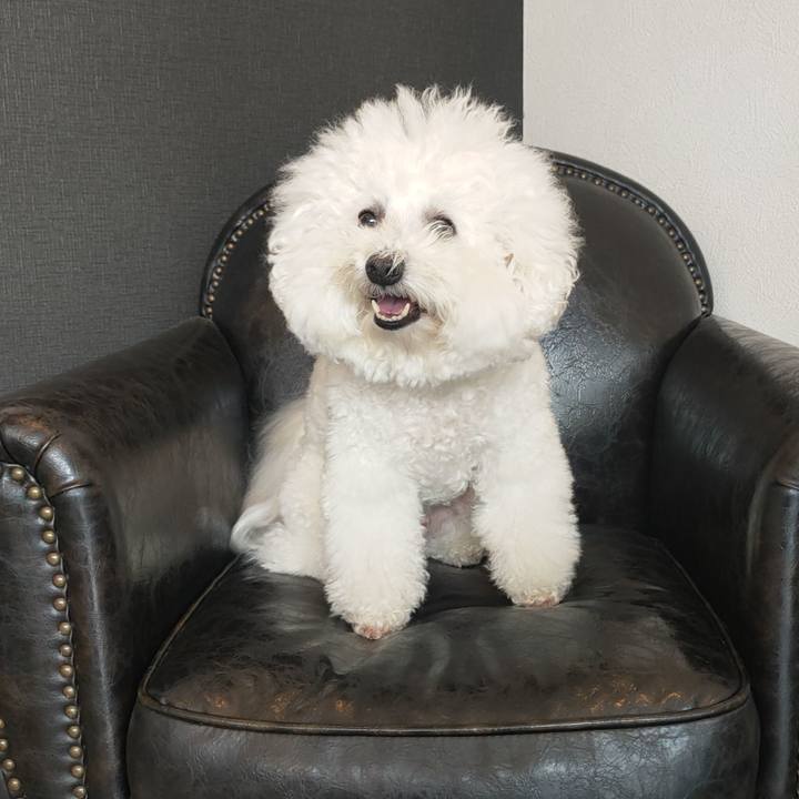 06343d06 5e0d 42fa bf5e 86c755206462 1762568870781