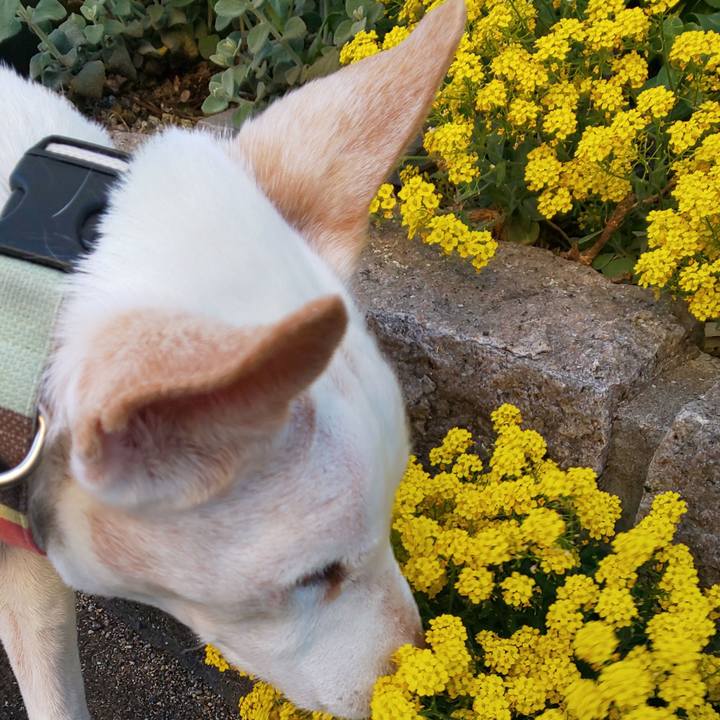 0634507f 26b9 4f1c a9e0 e887b7513df6 1555753077431