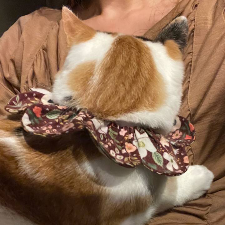 0634806f 9cbf 4a35 a0b5 d4b42352c05a 1759243433561