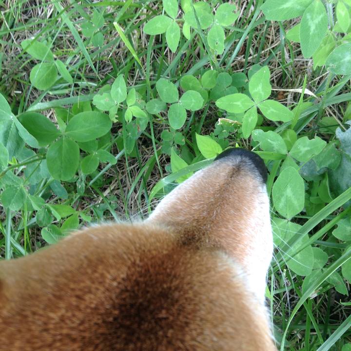 06348486 8fd8 47ce a258 25f833edfcc0 1528182847953