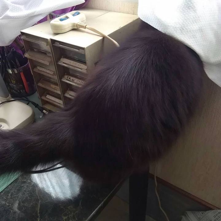 0634a107 40b4 4763 9e94 66b1894b9256 1510398165893