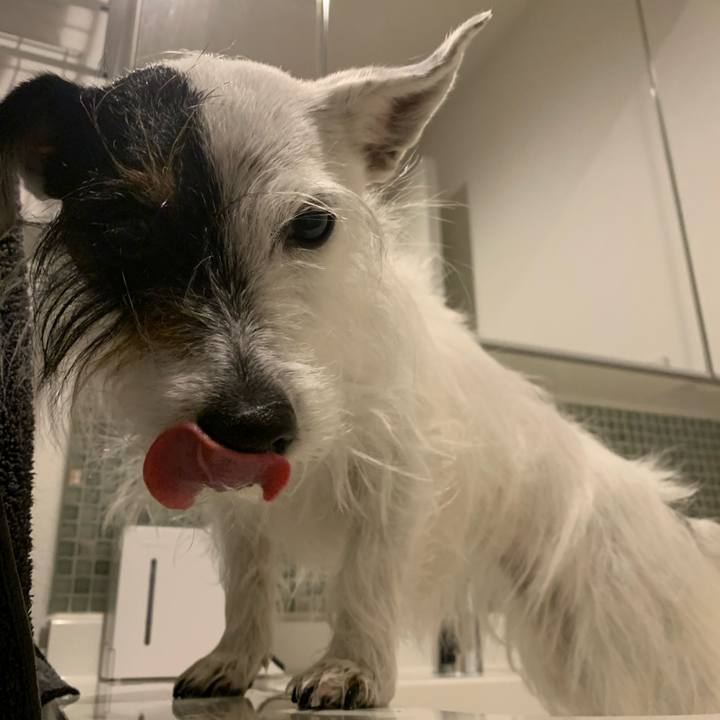 0634a57f eb04 45ae bb48 f482ef1b3456 1679749252928