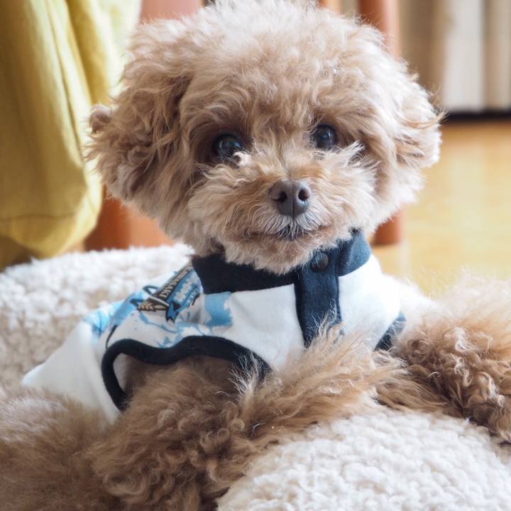 0634b0e6 0877 499e ad4e 75ea0be3fc04 1523189800303