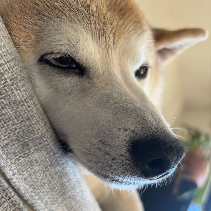 0634b29b 7c44 425c 8c9d e1b5aa95b593 1736899314937