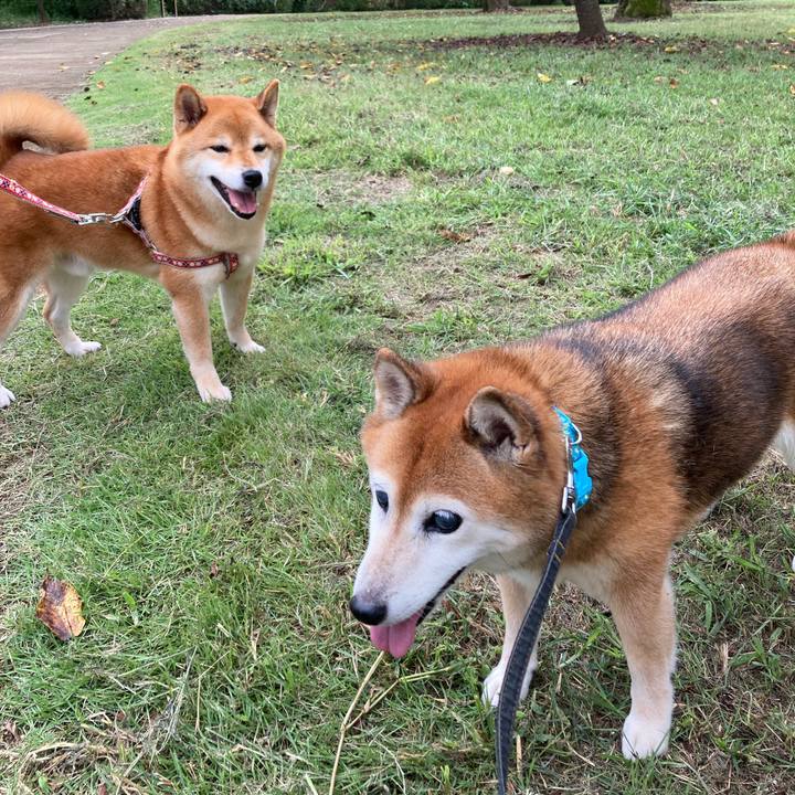 0634ff55 8863 4a3d 9dc2 6c18d2349e87 1726729713492