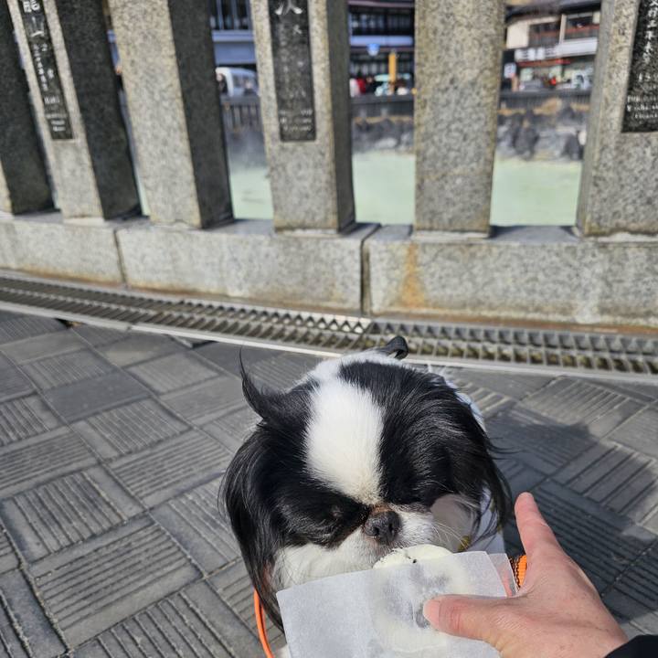 0635123b 8e87 4fdb 977c 46617cef2ccb 1738059308294