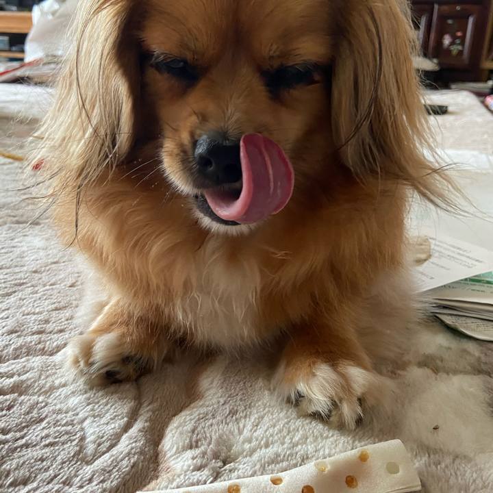 06351d91 e230 4cf0 aa9f fefeb4b1a9b5 1595723398190