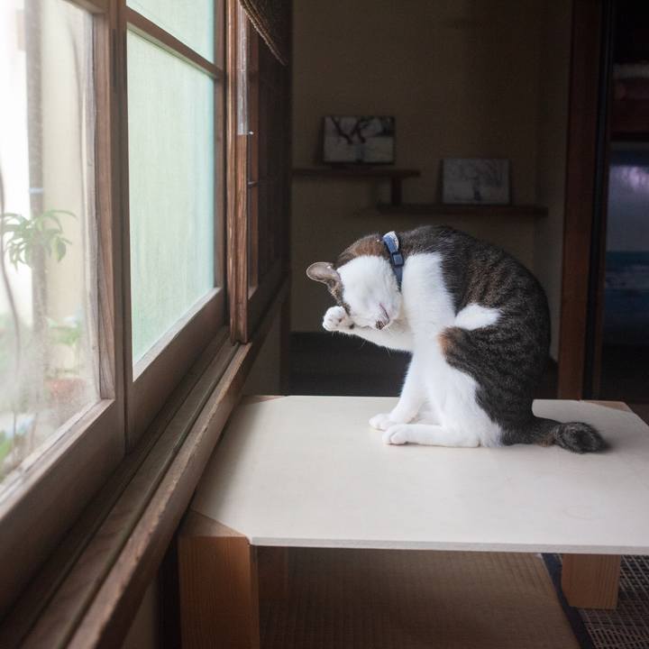 06352e02 ad81 490b 9130 140ce4241785 1569811834373