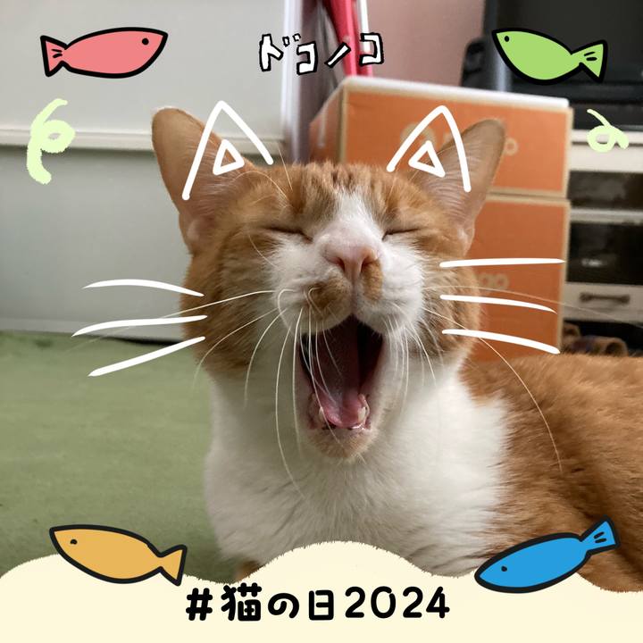 06354d93 c23a 4501 8dcf 5d8646b69cd1 1708605524968