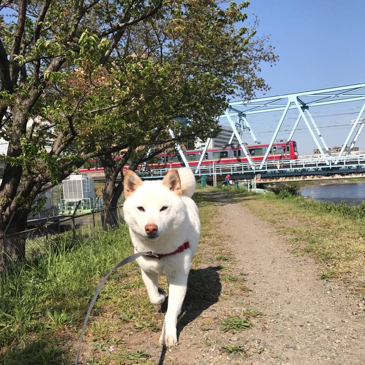 06356313 ea68 4e2b bd7c 6493bf94a20a 1523318676962