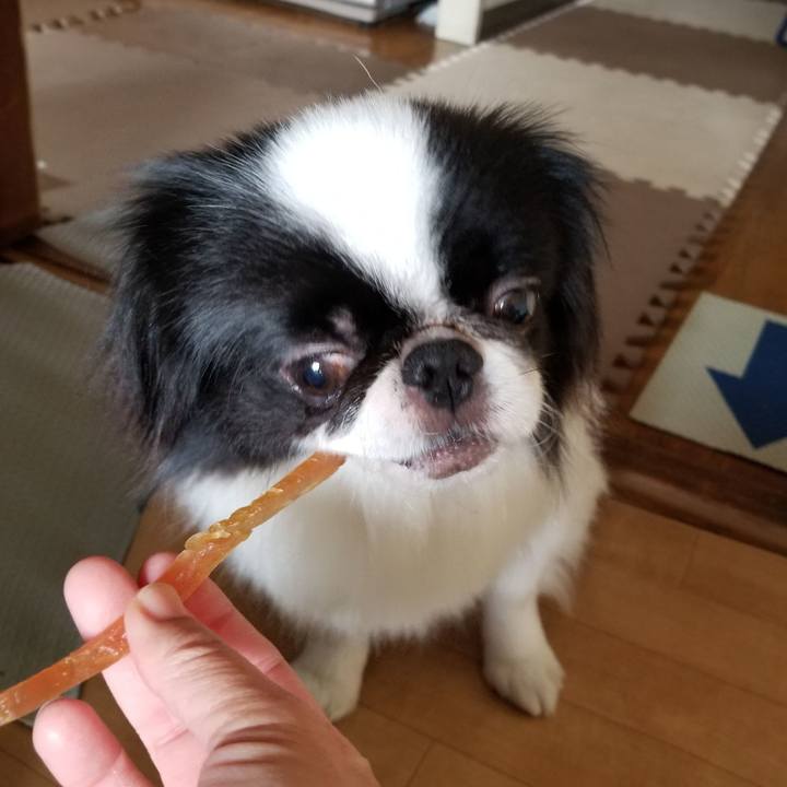 063569dd de36 4554 81e8 fd546a63bb7e 1644732381297