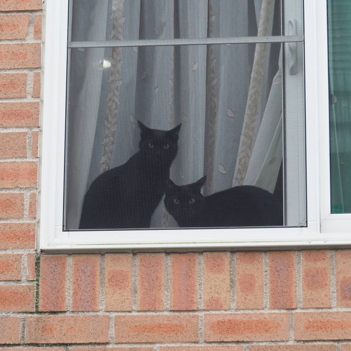 06356cfd 87c2 4919 966c 4de1373fb769 1555976258168